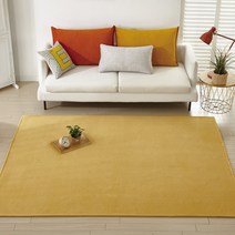 더블데코 파스텔 극세사 아이방 러그 안마의자 매트 100x150