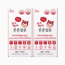 더데이 우리아이 맛있는 튼튼철분 30포 x 2개 포도맛