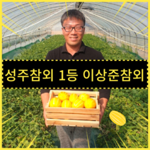 맛있는 참외 진짜 자신있습니다! 못난이참외 성주 성주참외 16브릭스이상 참외10kg 성주참외농장 꿀참외 왕참외 참외20kg 가정용, 중과-20kg, 1개
