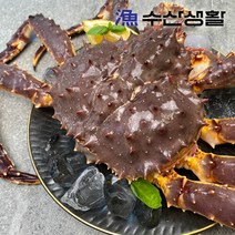 브랜드없음 [수산생활] 레드 킹크랩 2kg + 손질가위 증정, 단품없음