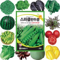 콩씨앗 땅콩씨 메주콩씨앗 강낭콩종자 호랑이콩씨앗 작두콩종자 서리태, 413 땅콩 30g