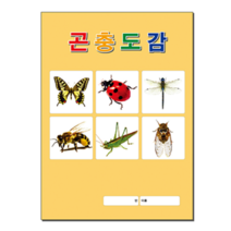 [삼영북스] 곤충도감, 인쇄없음