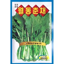 주말농장용채소 씨앗] 월동춘채 (하루나) 6000립
