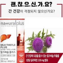 간 건강 밀크씨슬 실리마린 8가지 복합 기능성 정상적인 면역기능 세포분열 세포보호 비타민 미네랄 보충, 2개월분(60캡슐)