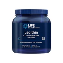 라이프익스텐션 레시틴 포스파티딜 콜린 이노시톨 함유 454g