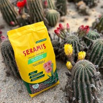 세라미스 선인장 다육식물 분갈이흙 2.5L 독일 프리미엄 대체용토 마이플랜트, 선인장 다육식물 2.5L, 26cm 대 1P