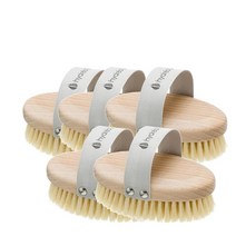 선인장 파이버 강모 Hydrea London Beech Wood Body Brush, 5팩