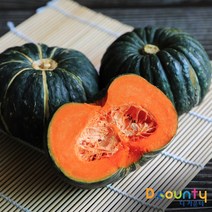 2023년 햇 단호박 미니 밤호박 해남 함평 보우짱 국산 100% 최상급 특품 밤단호박 1kg 2kg 3kg 인피솔, 1개