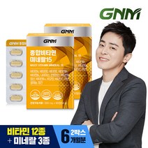 GNM 멀티 종합비타민 미네랄 15종 2박스(총 6개월분), 90정, 1세트