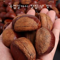 부여 알밤 당도가 높고 고소한 최고의 알밤 23년 햇 홀랑밤(칼집밤 뜨래밤) 알밤 축제 밤 달싱상회, 4kg 대, 1개