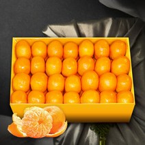 [보섭이네푸드]가락시장 직송 유명산지 제주 감귤 5kg(80∼94입내 2S)
