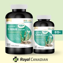 Royal Canadian Cissus 캐나다 로얄 캐네디언 프리미엄 100배 농축 시서스 알약 300캡슐 60캡슐, 300 60캡슐
