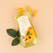 푸드어홀릭 아로마오일 살구 465ml/리치