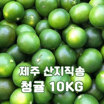 제주 청귤 풋귤 노지 감귤 어린귤 청귤청 2kg 3kg 5kg 10kg 14kg 잔류농약불검출, 풋귤(청귤) 10kg, 1개