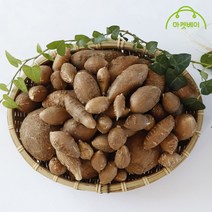 [마켓베이] 경남 산청 아피오스 1kg 2kg 인디언감자, 2. 경남 산청 아피오스(인디언감자)  2kg