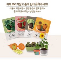 CMJ 간편 열매 식물 영양제 방울토마토 오이 고추용 2개입 166169EA, 쿠팡 본상품선택