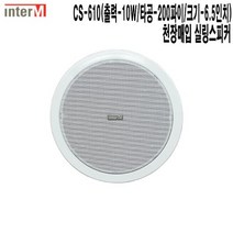 CS-610-인터엠 호텔 일식집 미용실 천장매입스피커