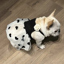 강아지 비옷 우산 대형견 우비 다이소 애견 강아지와 고양이를 위한 애완동물 옷 소형견 코기 테디 VIP 여름 코튼 블랙 서스펜더 드레스, [01] 검은색, [05] XXL