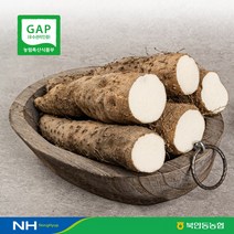 [북안동농협] GAP 국내산 (안동마 산약마 산마 참마), 1box, 알뜰3KG