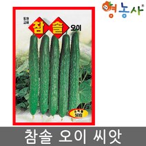 참솔오이씨앗 50립, 참솔오이