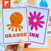 영어 단어 플래시카드 조기 교육 학습 영어 단어 카드 유아 학습 카드, 12 Pcs 색상