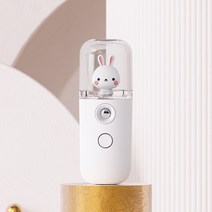 나노 미스트기 미니 얼굴미스트 피부관리기 휴대용 USB, 토끼-화이트