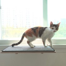 고양이 해먹 캣타워 창문 창틀 선반 캣스텝 캣워커 냥만뷰, 블랙