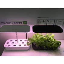 토리팜 LED 수경재배기 가정용 식물재배 스마트팜 양액재배기 반려식물 실내원예 홈가드닝, 화이트