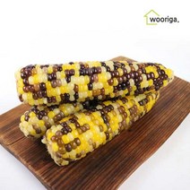 냉동 삶은 알록이 옥수수 12개18~20cm내외, 알록이 옥수수 12개(18~20cm내외)