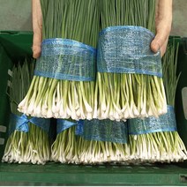 [윤가네세자매] 깐쪽파 / 손질 쪽파 / 깐 쪽파 / 손질쪽파 국내산, 깐쪽파(900g~1kg), 1개