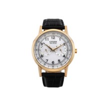시티즌 CITIZEN AO9003-16A 에코드라이브 금부엉이 남성용 가죽시계 42mm