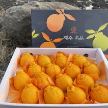 당일수확 산지직송 제주농장 한라봉 3KG 5KG 10KG, 소과 3KG가정용(13~16과)