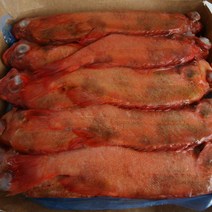 적어(장문 볼락) 13.6kg(800up) 업소용 식당용 가정용 도매, 단품