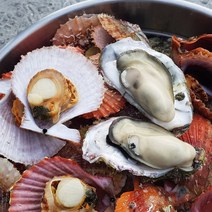 통영장어농장 산지직송 통영 석화+홍가리비 세트, 1박스, A세트(석화2kg+홍가리비2kg)