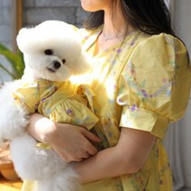 강아지 커플룩 개플룩 시밀러룩 SET, L, FREE, 블루