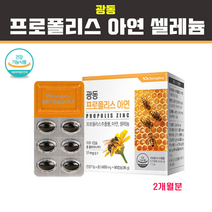 닥터 그린 프로폴리스 플라보노이드 17mg 호주프로폴리스 분말 가루 캡슐 아연 건조효모 꿀벌 초유 구강건강 항산화 구강 향균 코 비염 면역력 증진 면역세포 영양제, 1개, 500mg x 30캡슐