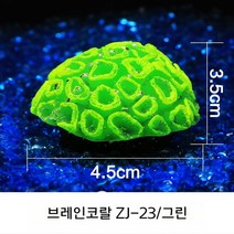 수조 인조 장식 인공 수초 인공 산호 인공수초 인공산호 어항 장식 꾸미기 열대어 관상어 구피 엔젤피쉬 해외 구매 대행 상품, 브레인코랄  ZJ - 23 그린