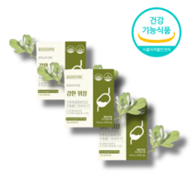 그린세라-F 금은화추출물 인동덩굴 위에좋은영양제 60정 개별포장 3개월분, 3개월분(90정)