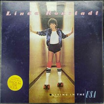 3655 /LP음반 /LINDA RONSTADT (LIVING IN THE USA)레코드음반.팝송.중고음반.가요.LP음반