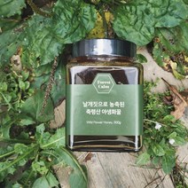 농장직영 포레스트캄 2022 천연꿀 숙성꿀 야생화꿀 (3사이즈), 600g