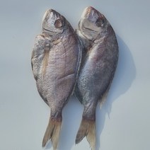 [반건조] 국산 목포 참돔 저염 손질 (2미), 1개