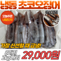 신선해어 오징어 원물 (냉동), 2kg, 1팩