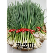 쪽파 국산 깐쪽파 1단 1kg 내외 보성 야채맘