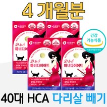 40대 다이어트 가르시니아 체지방 분해 다리 살 빼기 피하지방 복부지방 컷팅제 남자 남성 먹는 다이어트 보조제 올챙이배 똥배 술배 빼는법 식약처 인증 건강기능식품 건강식품