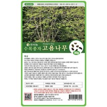 다농 고욤나무 30g 나무 종자, 1개