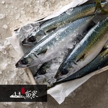 제주 명품 자반고등어, 8마리