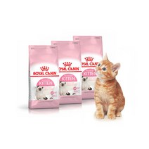 로얄캐닌 키튼 1.2kg고양이사료, 단품, 단품