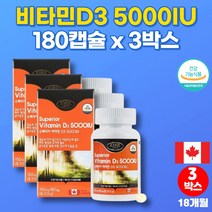 이마트 캐나다 초등학생 중학생 고등학생 고3 청소년 직장인 고용량 비타민D 5000 복용법 비타민디3, 3박스