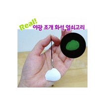 (GS)야광 조개화석 열쇠고리(10인용)