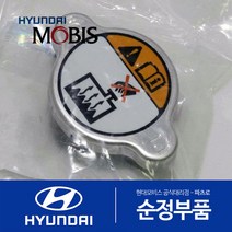 뉴 에쿠스 (VI) 순정 라디에이터 캡 뚜껑 (연식무관)